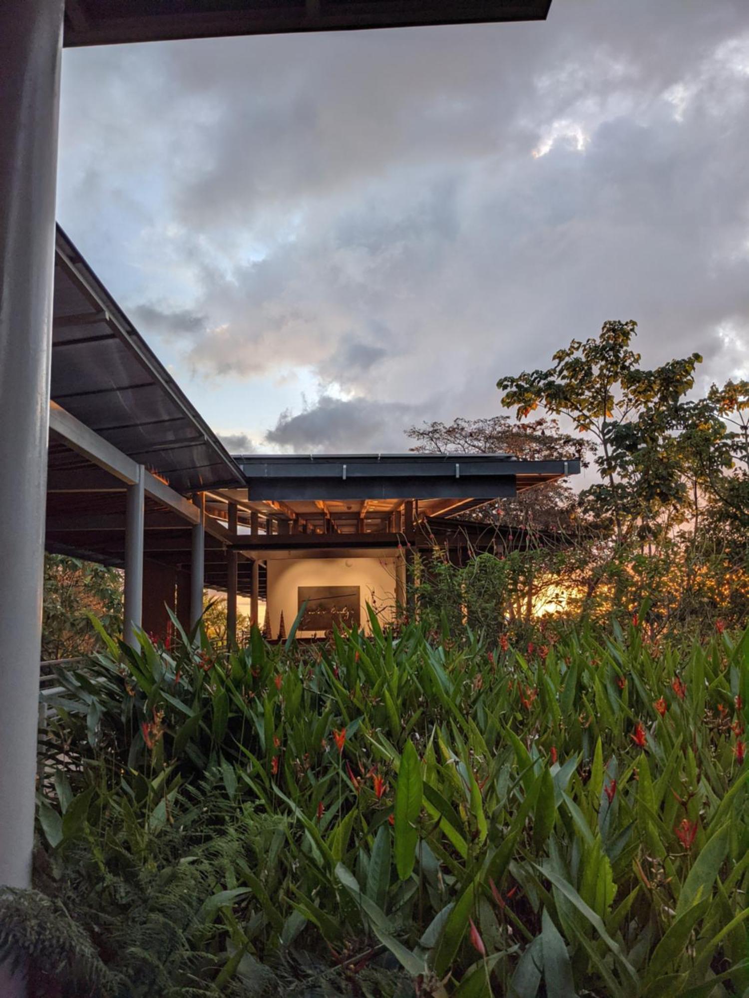 Cielo Lodge Golfito Ngoại thất bức ảnh
