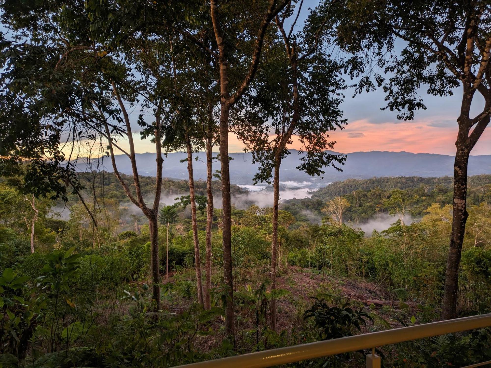 Cielo Lodge Golfito Ngoại thất bức ảnh